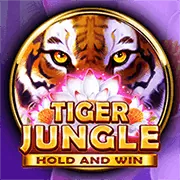Hoàn Trả Thể Thao và Casino Kubet KU Casino